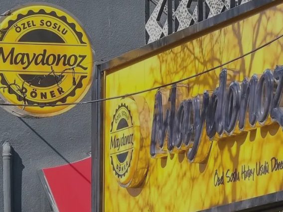 maydanoz2